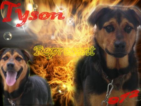 tyson